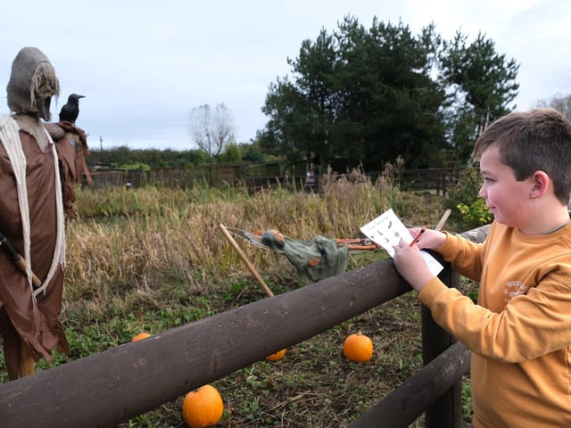 Cracking the Halloween quiz