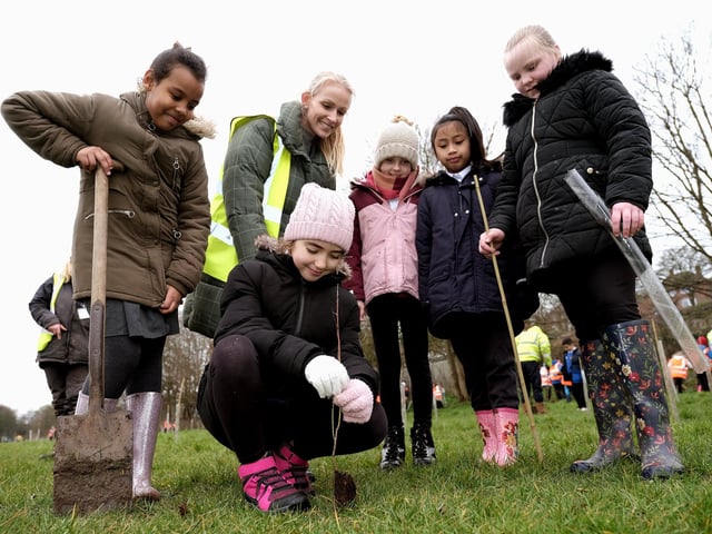 Pupils planting trees with Miss Landray.