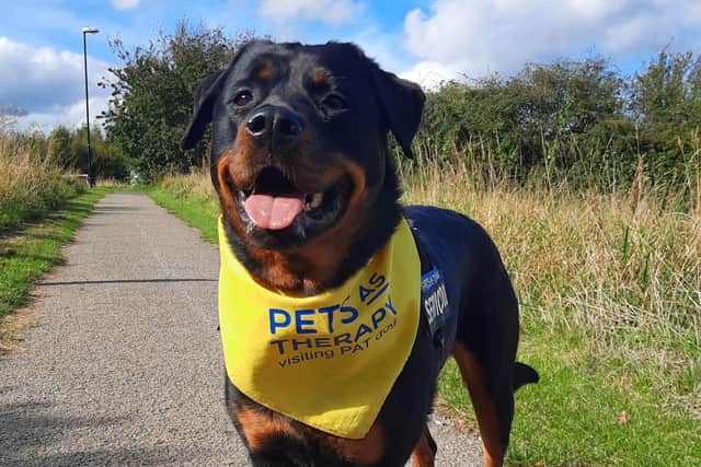 Dempsey is a four-year-old rottweiler based in Scarborough.