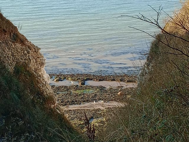 A view from Flamborough Cliffs, by Alan Ross.