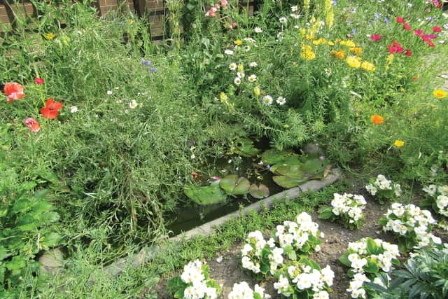 A wildlife-friendly garden in Hull Prison