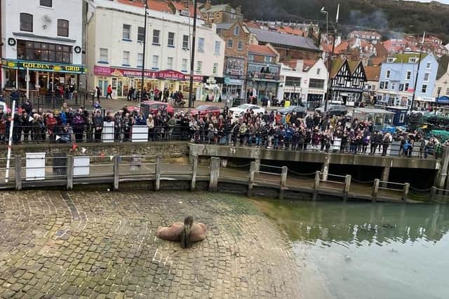 Thor drew huge crowds when he arrived in Scarborough. (Photo: Steve Bambridge)