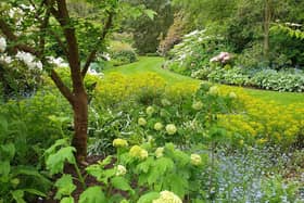 Wooded gardens at Mulgave Castle.