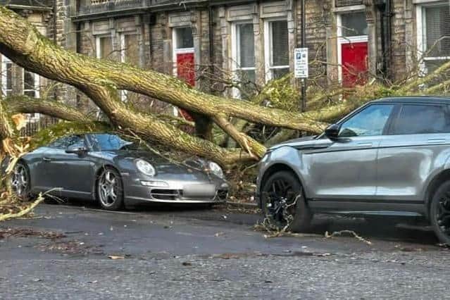 One Harrogate resident woke up this morning to find a tree had fallen onto their car (Credit: Charlie Lowe)