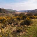 View towards Commondale on the North York Moors.
