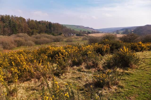 View towards Commondale on the North York Moors.