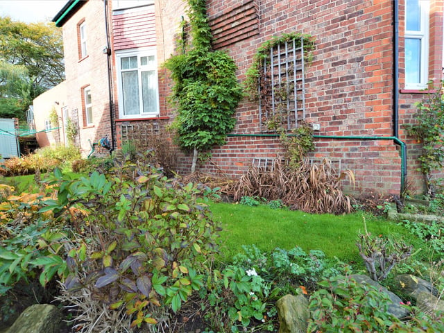 A lawned garden with plant and shrub borders.