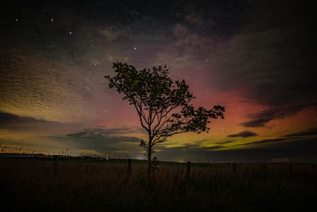 A spectacular autumnal aurora display captured at Scarborough in November 2025. Image credit: Astro Dog
