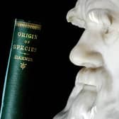 A copy of Darwin's book the "Origin of Species" is pictured in front of a life size stone bust of Charles Darwin at London's Natural History Museum. 'The Kohler Darwin Collection' is the largest and most comprehensive collection of books by and about Charles Darwin in the world, and is also the biggest purchase in the Natural History Museum's history. Photo: SHAUN CURRY/AFP via Getty Images