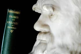 A copy of Darwin's book the "Origin of Species" is pictured in front of a life size stone bust of Charles Darwin at London's Natural History Museum. 'The Kohler Darwin Collection' is the largest and most comprehensive collection of books by and about Charles Darwin in the world, and is also the biggest purchase in the Natural History Museum's history. Photo: SHAUN CURRY/AFP via Getty Images