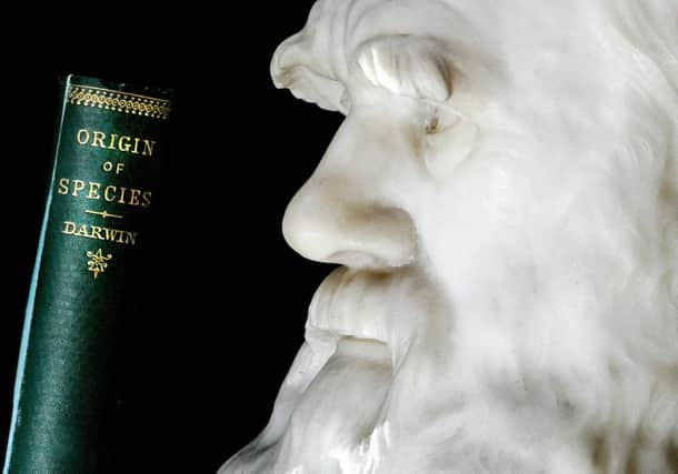 A copy of Darwin's book the "Origin of Species" is pictured in front of a life size stone bust of Charles Darwin at London's Natural History Museum. 'The Kohler Darwin Collection' is the largest and most comprehensive collection of books by and about Charles Darwin in the world, and is also the biggest purchase in the Natural History Museum's history. Photo: SHAUN CURRY/AFP via Getty Images