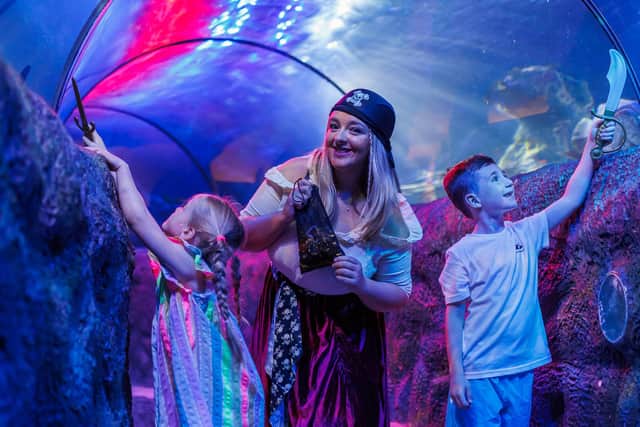 Meet a real pirate, take part in pirate-themed games and activities, and don’t forget to fill in the pirate map as you go, or you might have to walk the plank.