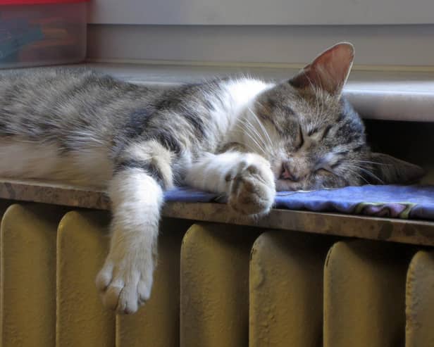 Check radiators are in good working order, and save money by turning your heating down by one degree celcius.