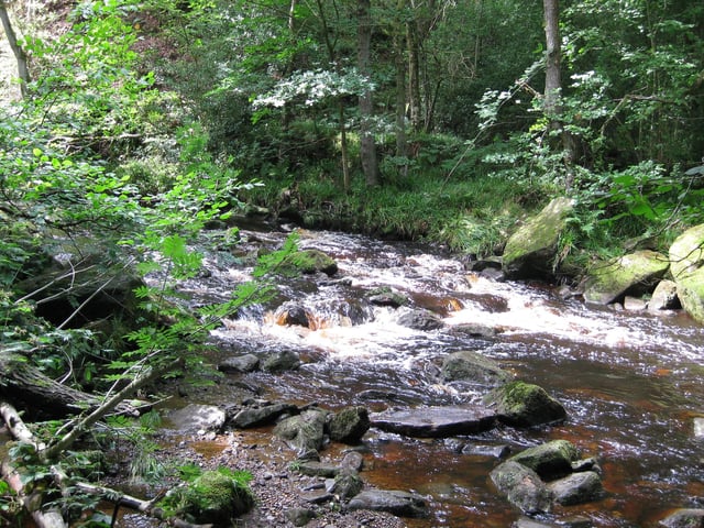 Mallyan Spout, Goathland, after a deluge, by Cathryn Monk.