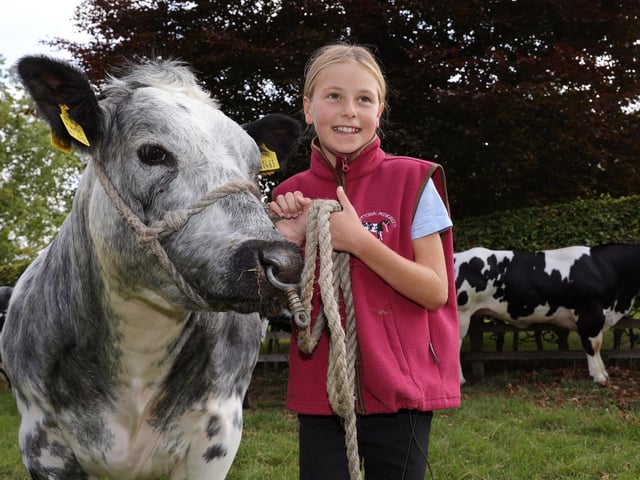 Harriet working at the show.