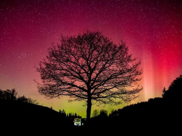 Aurora Borealis captured in Dalby Forest.