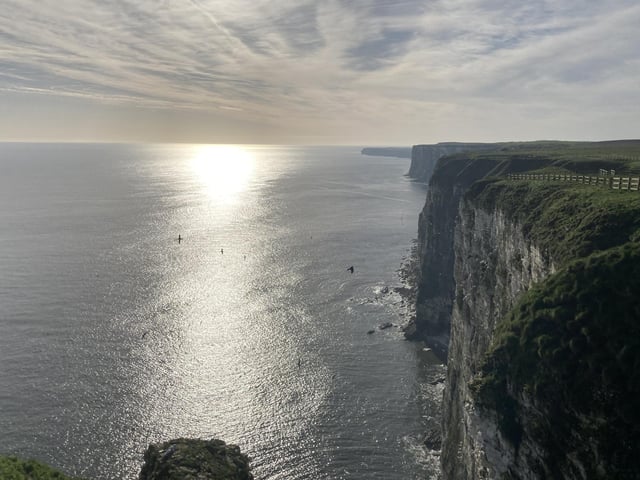 Bempton cliffs is both a Site of Special Scientific Interest (SSSI) and a Special Protection Area (SPA) because of the number of seabirds that nest there.