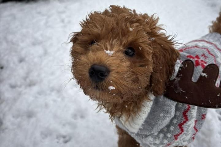 Don't forget to wrap up warm