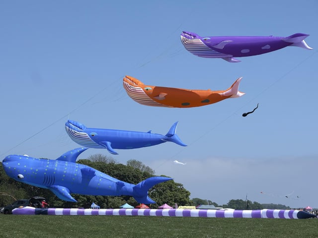 The Bridlington Kite Festival. picture: Richard Ponter