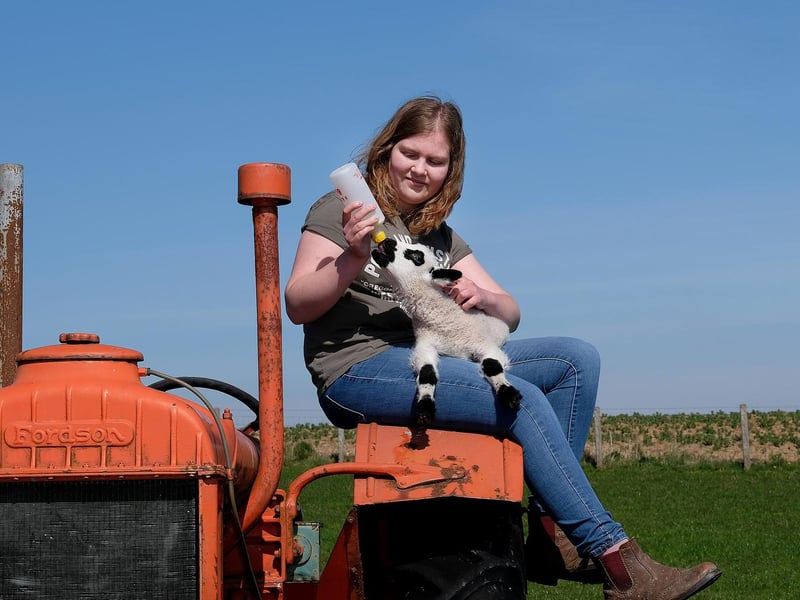 Playdale Farm in Scarborough will be hosting a special Easter Egg hunt on April 5-6. On your way around the farm keep your eyes peeled as the Easter Bunny has been out and about hiding emu eggs with some of the animals. There is a letter on the side of each egg, unscramble the letters to spell out the secret farm word. Once you’ve figured out the secret word, give your answer to the person in the shop for a special Easter gift The ewes are due to give birth from at the start of the Easter holidays so they will have plenty of new born lambs to see this Easter, if you’re lucky you might even see a birth. As always they will have newly hatched chicks to hold in our daily chick handling sessions!