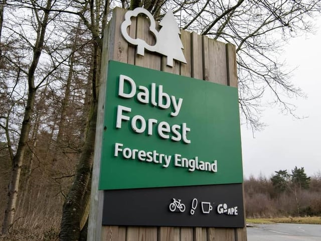 Head to Dalby Forest for some family fun this half term. This February half-term at Dalby Forest, they are bringing out all things galactic. Celebrate the Dark Skies Festival 2024 in the great Yorkshire forest with a range of activities for the whole family to enjoy. Seek the planetary items from across the play area and count how many you find. Return your report to the information point to get a prize, or make a UFO ina free craft session. These activities are free, available to do throughout half-term and are suitable for children ages 3 – 11. How about an activity the whole family can enjoy? We have partnered up with stargazing specialists Astro Dog to give you a tour of the cosmos. Can you find the Milky Way? Or perhaps spot a shooting star? See the stars like you’ve never seen them before!
This activity requires booking on Astro Dog’s website and is available across various dates across half-term, starting from 7pm on each of the dates.