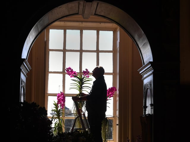 Head Gardener Jeremy Palmer checks the orchids.