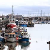 Scarborough Harbour was part of Mark's inspiration