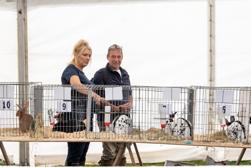 Visitors look at the rabbits in the fur and feathers tent