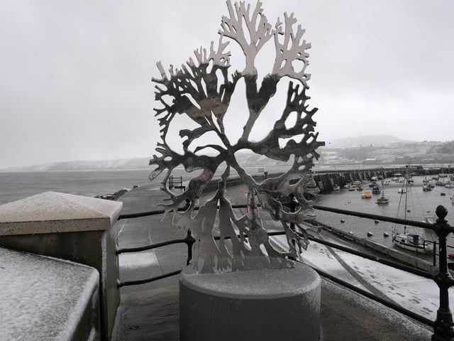 A view near the harbour