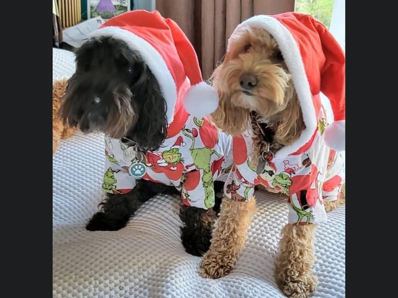 This Christmas duo are from Whitby and look very cute in their matching Grinch outfits.