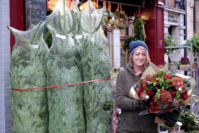 Preparing Christmas flowers on Baxtergate.
picture: Richard Ponter, 225203j