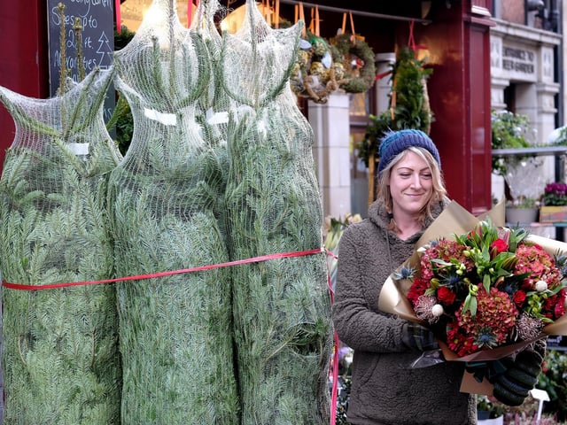 Preparing Christmas flowers on Baxtergate.
picture: Richard Ponter, 225203j