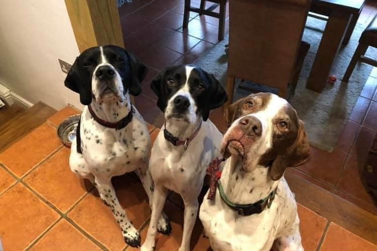 Paul Broadhead's photo of 'the Brody bunch'.