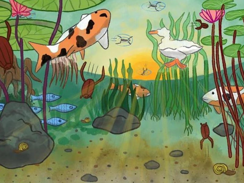 Musical Journeys: A Day at the Pond/Mausam will have two showings on February 8. Live music performances for the early years. Join the Orchestra of the Age of Enlightenment and SAA-uk live as we explore a day in the life of a pond. Dance, sing and play with us as we take our musical adventure down to the pond.
