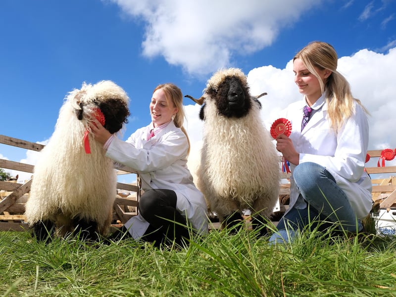 The Danby Show is set to take place on August 13. Traditional country and agricultural show held every year in August. The show includes horticultural, produce and craft competitions, including: horses, ferrets, pigeons, rabbits and cavies, as well as vintage machinery and motorcycles, food and beer tent.