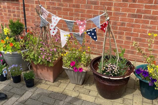 Plants and shrubs grown by the new gardening group.