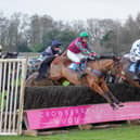Camdonian races to victory at the Helmsley Races, held at Duncombe Park. Photo by Tom Milburn Photography