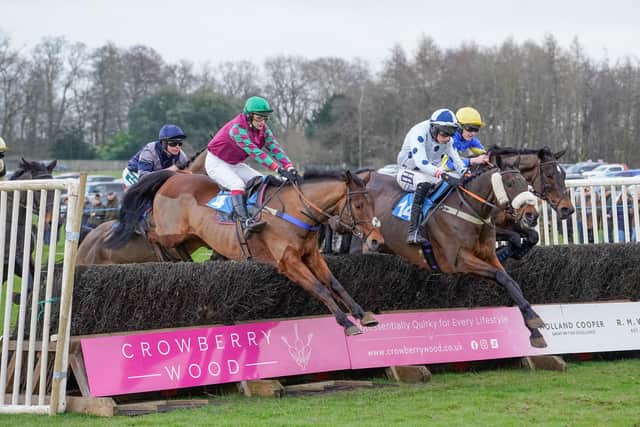 Camdonian races to victory at the Helmsley Races, held at Duncombe Park. Photo by Tom Milburn Photography