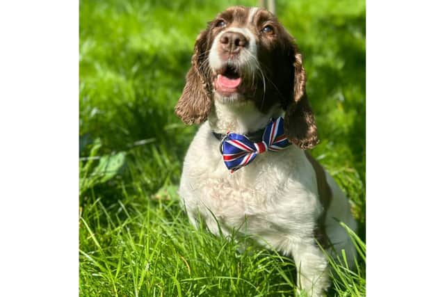 A very patriotic look for PD Isla