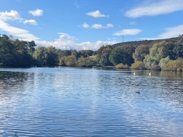 Scarborough Mere, by Dawn Humphrey.