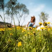 Leave weeds for a little longer - Dandelions, in particular, are like a superfood for butterflies and bees so try not to go for every weed you see throughout May