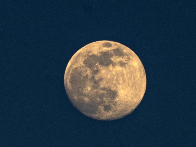 Moon taken from my garden in Fareham. Instagram: @champ4334