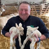 Humble Bee Farm will open its doors to the public on Sundays in March 2023 for their Lambing Experience events.