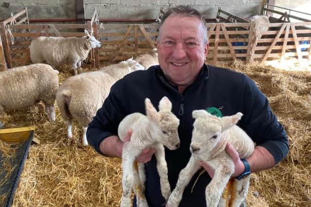 Humble Bee Farm will open its doors to the public on Sundays in March 2023 for their Lambing Experience events.