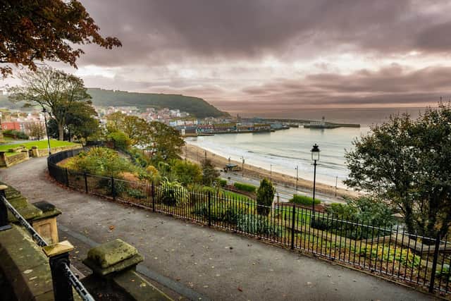 Nine locations across Scarborough and Whitby have been identified where there has been significant and persistent littering, anti-social behaviour, crime and damage to the environment.