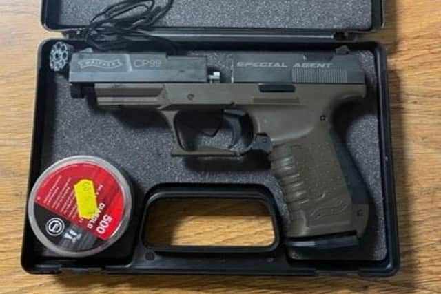 An air pistol was one of two guns ordered to be forfeited by the man
