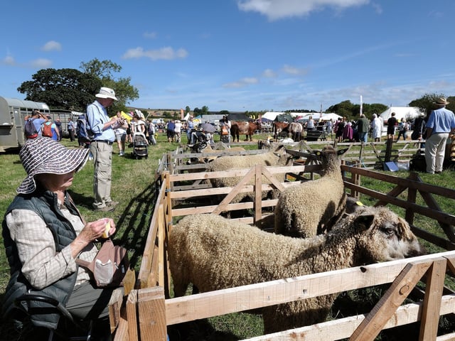 Enjoying the day at Danby Show.