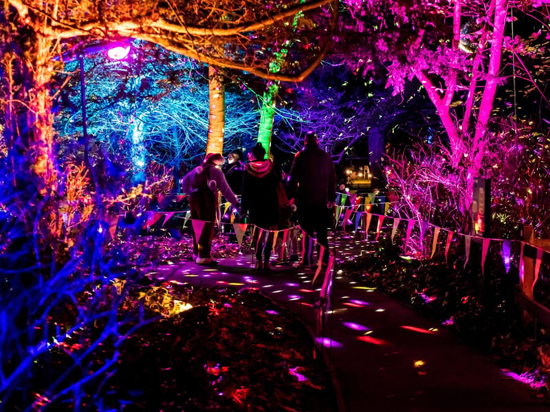 The dazzling lights are a fantastic spectacle.