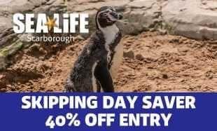 A cheeky Humboldt penguin ready for the exclusive 40% off for shrove Tuesday.