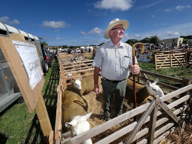 Judge David Beech with the sheep.